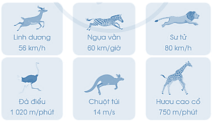 Vở bài tập Toán lớp 5 Bài 72: Vận tốc | Cánh diều