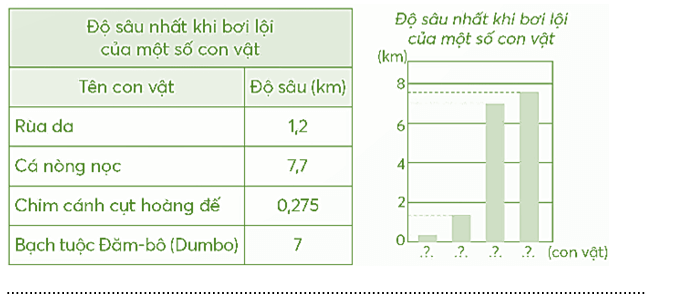 Vở bài tập Toán lớp 5 Chân trời sáng tạo Bài 23: Em làm được những gì?