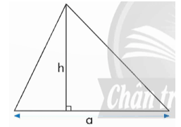 Vở bài tập Toán lớp 5 Chân trời sáng tạo Bài 44: Diện tích hình tam giác