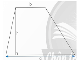 Vở bài tập Toán lớp 5 Chân trời sáng tạo Bài 46: Diện tích hình thang