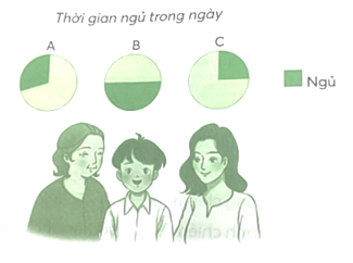 Vở bài tập Toán lớp 5 Bài 62: Biểu đồ hình quạt tròn | Chân trời sáng tạo