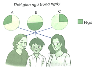 Vở bài tập Toán lớp 5 Bài 62: Biểu đồ hình quạt tròn | Chân trời sáng tạo