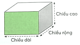 Vở bài tập Toán lớp 5 Bài 75: Em làm được những gì? | Chân trời sáng tạo