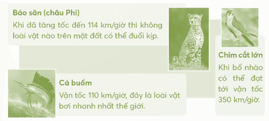 Vở bài tập Toán lớp 5 Bài 83: Vận tốc | Chân trời sáng tạo