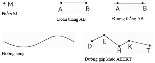 Vở bài tập Toán lớp 5 Bài 94: Ôn tập hình phẳng và hình khối | Chân trời sáng tạo