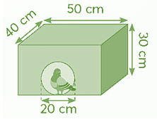 Vở bài tập Toán lớp 5 Chân trời sáng tạo Bài 97: Ôn tập chu vi, diện tích, thể tích (tiếp theo)