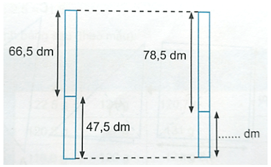 Vở bài tập Toán lớp 5 Bài 24: Luyện tập chung | Kết nối tri thức