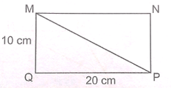 Vở bài tập Toán lớp 5 Kết nối tri thức Bài 25: Hình tam giác. Diện tích hình tam giác