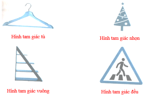 Vở bài tập Toán lớp 5 Kết nối tri thức Bài 25: Hình tam giác. Diện tích hình tam giác