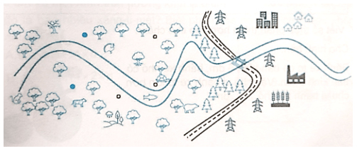 Vở bài tập Toán lớp 5 Bài 27: Đường tròn. Chu vi và diện tích hình tròn | Kết nối tri thức