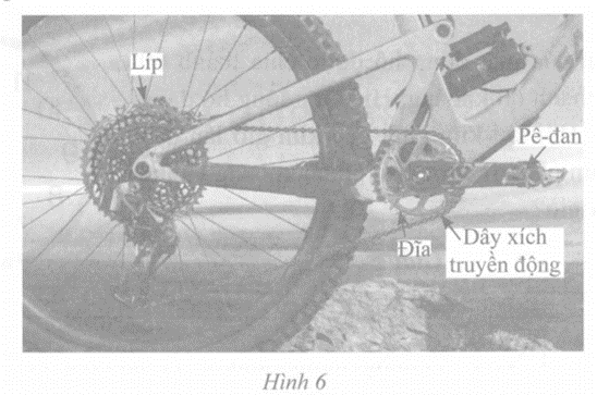 Đĩa và líp xe có vai trò rất quan trọng đối với một chiếc xe đạp (Hình 6)