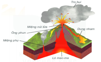 Quan sát hình 1 và đọc thông tin trong thư mục 1, em hãy mô tả