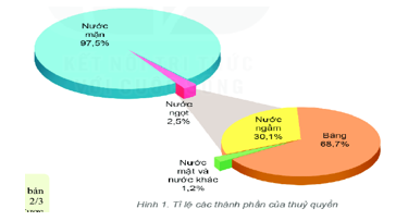 Quan sát hình 1 và đọc thông tin trong mục 1, em hãy