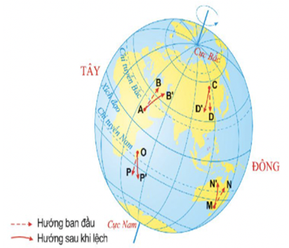 Cho biết hướng chuyển động thực tế của vật thể trong các trường hợp sau