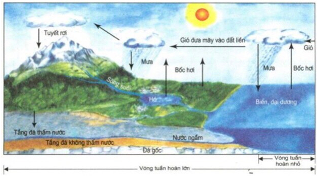 Vẽ vòng tuần hoàn nước đơn giản vào ô trống