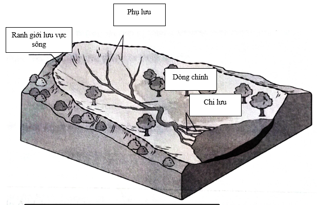 Hãy chú thích các bộ phận: dòng chính, chi lưu, phụ lưu, ranh giới lưu vực sông