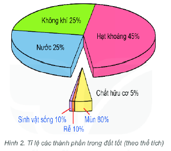 Quan sát hình 2, cho biết đất bao gồm những thành phần nào