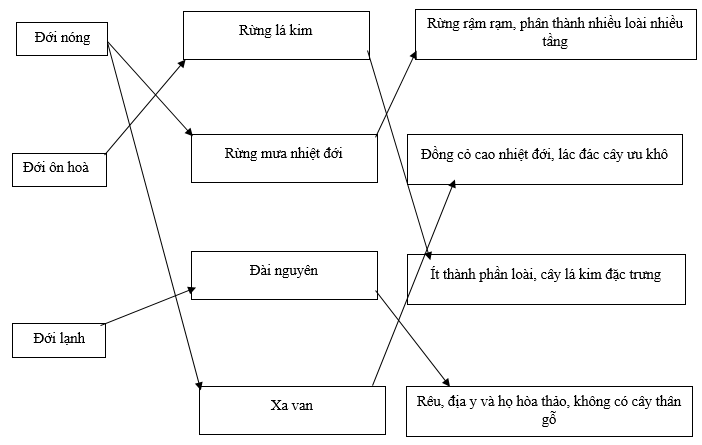 Nối các ô chữ ở 3 cột sao cho phù hợp