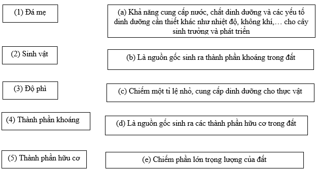 Nối ô bên trái với ô bên phải sao cho phù hợp