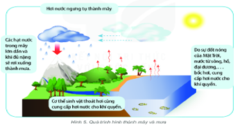 Đọc thông tin trong mục a và quan sát hình 5, em hãy mô tả quá trình hình thành