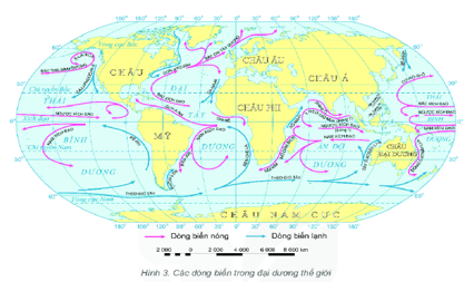 Dựa vào hình 3, em hãy kể tên hai dòng biển nóng và hai dòng biển lạnh