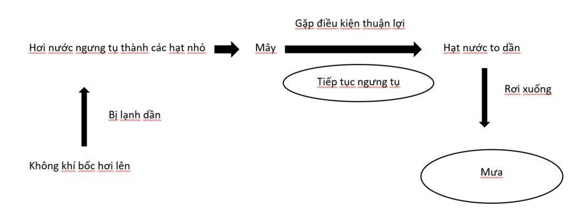 Vẽ sơ đồ quá trình hình thành mây và mưa