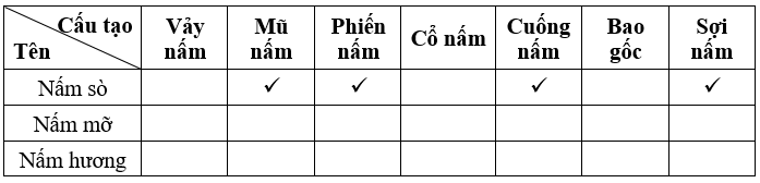 Dựa trên kết quả quan sát các thành phần cấu tạo