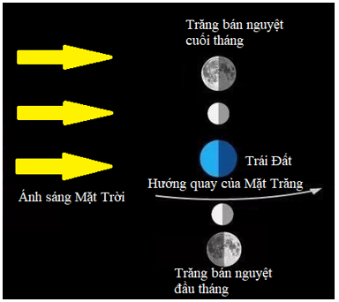 Sử dụng mô hình quan sát các pha của Mặt Trăng