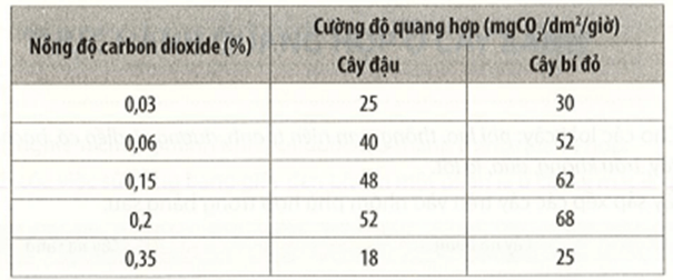 Khi làm thí nghiệm về ảnh hưởng của nồng độ carbon dioxide đến cường độ quang hợp ở cây bí đỏ