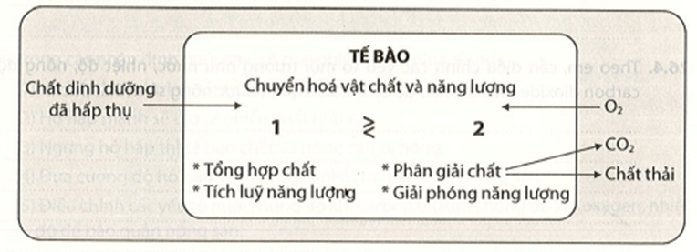 Tìm từ phù hợp thay cho số (1) và số (2) trong sơ đồ dưới đây trang 19 Vở thực hành KHTN 7 Tập 2