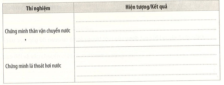 Hoàn thành bảng ghi kết quả thí nghiệm chứng minh thân vận chuyển nước và lá thoát hơi nước