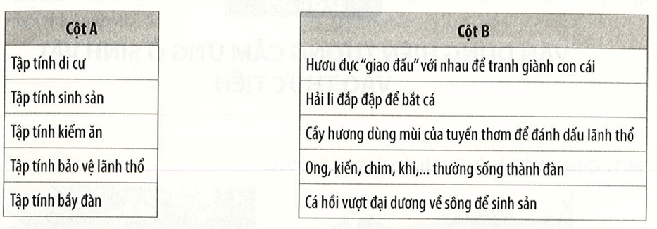 Nối mỗi ý ở cột A với một ý ở cột B cho phù hợp trang 47 Vở thực hành KHTN 7 Tập 2