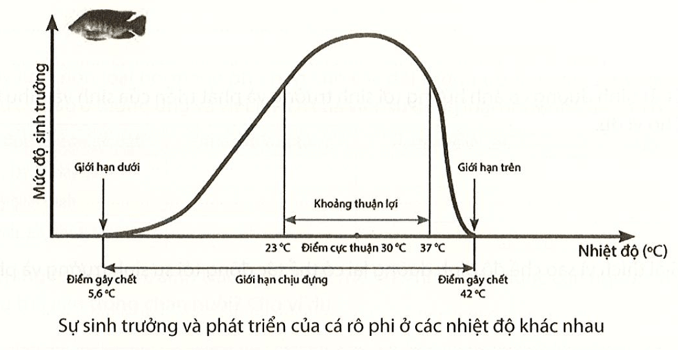 Quan sát hình dưới và thực hiện các yêu cầu sau Nhận xét mức độ sinh trưởng