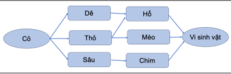 Cho các chuỗi thức ăn trong một quần xã như sau