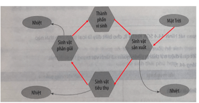 Hoàn thành sơ đồ sau về vòng tuần hoàn vật chất trong hệ sinh thái