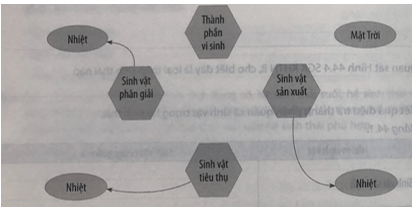 Hoàn thành sơ đồ sau về vòng tuần hoàn vật chất trong hệ sinh thái