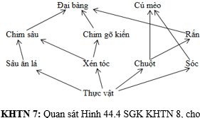 Lấy ví dụ và vẽ sơ đồ về lưới thức ăn trang 73 Vở thực hành KHTN 8