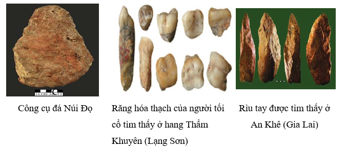 Quan sát các hình dưới đây và dựa vào SGK, hãy điền chú thích vào chỗ (…) dưới mỗi hình. Từ đó