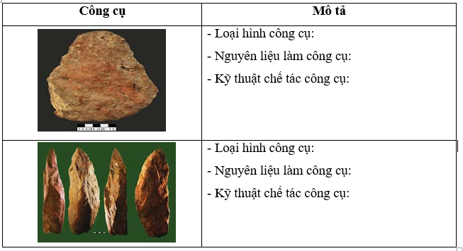 Quan sát hình và điền những nội dung thích hợp vào chỗ (…) để hoàn thành bảng mô tả về