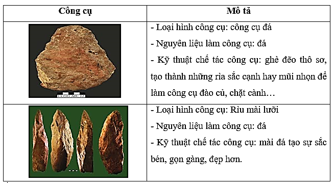 Quan sát hình và điền những nội dung thích hợp vào chỗ (…) để hoàn thành bảng mô tả về