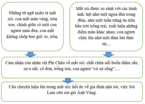 Đọc chương 2 trong SGK (tr6-9) và điền nội dung phù hợp vào sơ đồ sau