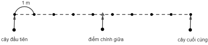 Người ta trồng 10 cái cây thành 1 hàng, hai cây liên tiếp cách đều nhau 1m