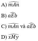 Góc tù trong hình vẽ dưới đây là góc: