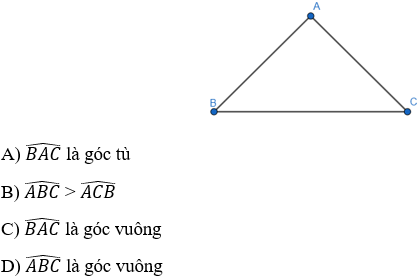 Quan sát hình vẽ bên và chọn đáp án đúng.