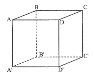 Quan sát hình lập phương ABCD.A'B'C'D', cho biết: AB = 5 cm