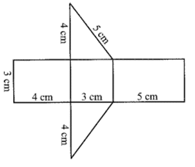 Giải Vở thực hành Toán 7 trang 46 Tập 1 Chân trời sáng tạo