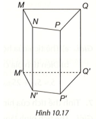 Viết tên đỉnh, cạnh, mặt bên, mặt đáy của hình lăng trụ đứng tứ giác ở Hình 10.17