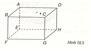 Gọi tên các đỉnh, cạnh, đường chéo, mặt của hình hộp chữ nhật trong Hình 10.5