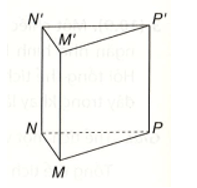 Hình lăng trụ đứng tam giác có số cạnh là