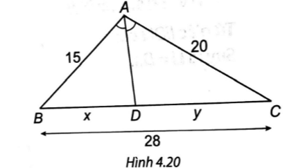 Quan sát Hình 4.20. Độ dài x, y lần lượt là